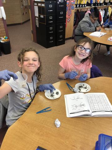 5th graders investigating their owl pellets