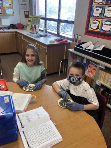 5th grade students studying their owl pellets