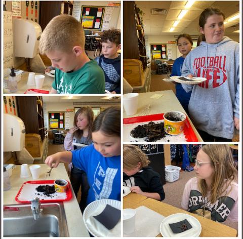 5th graders choosing their worms