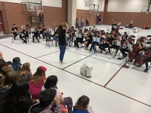 DFMS orchestra performance
