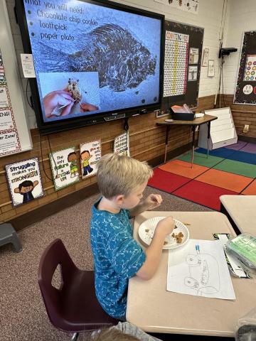 Fossils in 1st grade