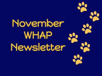 WHAP Newsletter picture