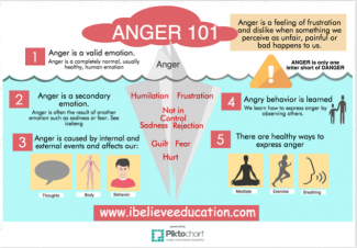 anger as a secondary emotion flyer