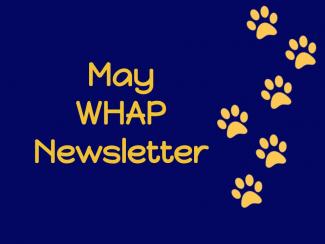 May Newsletter flyer