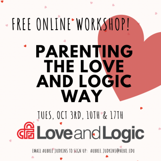 love and logic flyer